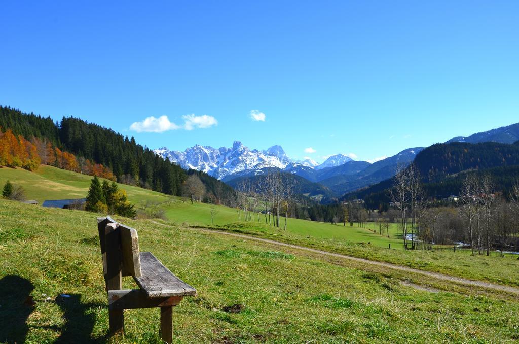 Apartment Tennengebirge Санкт-Мартин-ам-Тенненгебирге Экстерьер фото