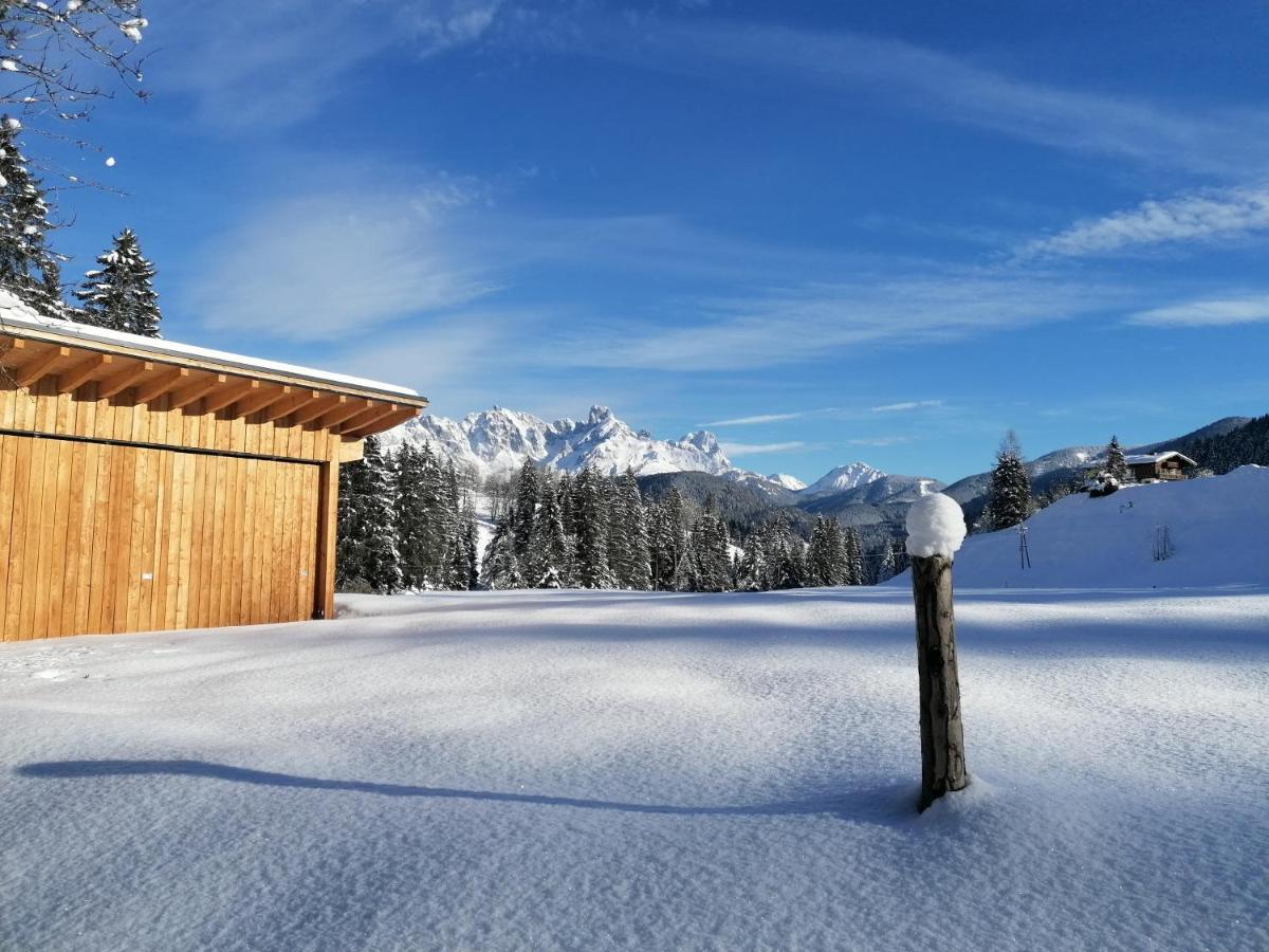 Apartment Tennengebirge Санкт-Мартин-ам-Тенненгебирге Экстерьер фото